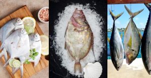 সামুদ্রিক মাছ খাওয়ার উপকারিতা - Health Benefits of Eating Sea Fish